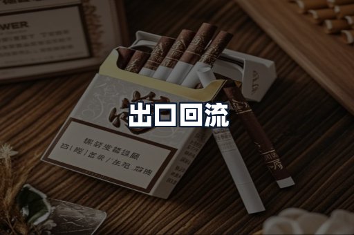 出口回流